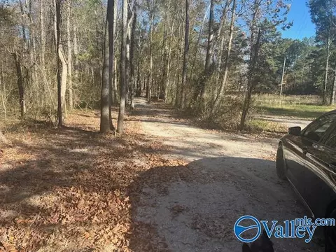 Other - 3107 County Road 217, Trinity, AL 35673 photo 19 of 19