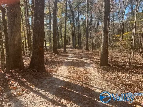Other - 3107 County Road 217, Trinity, AL 35673 photo 17 of 19