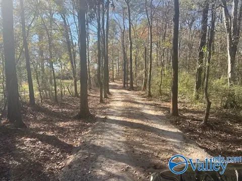 Other - 3107 County Road 217, Trinity, AL 35673 photo 18 of 19