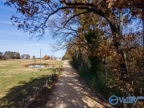 7 62 Acres County Road 399, Killen, AL 35645