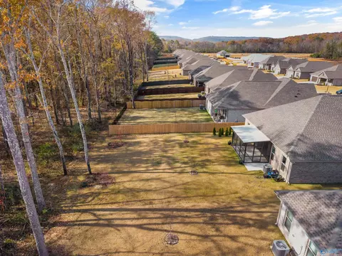 8809 SE Old Middlestown Rd, Gurley, AL 35748 photo 36