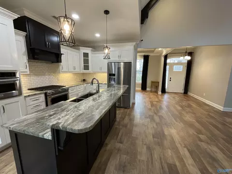 Other - 162 Widgren Dr, Arab, AL 35016 photo 1 of 11