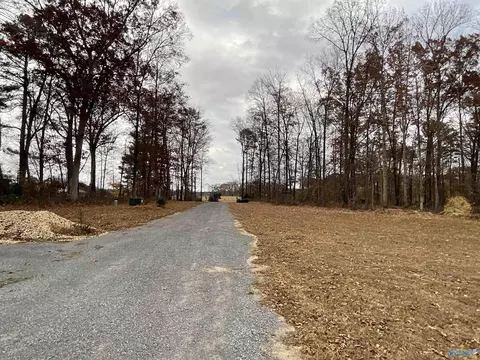 Other - 162 Widgren Dr, Arab, AL 35016 photo 11 of 11