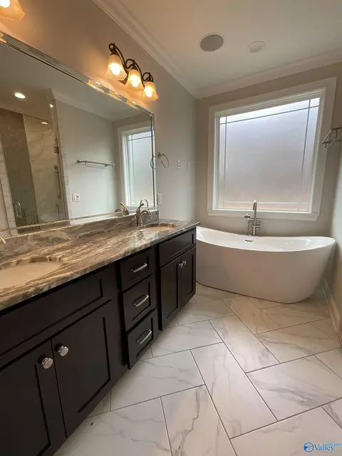 Bath - 162 Widgren Dr, Arab, AL 35016 photo 4 of 6