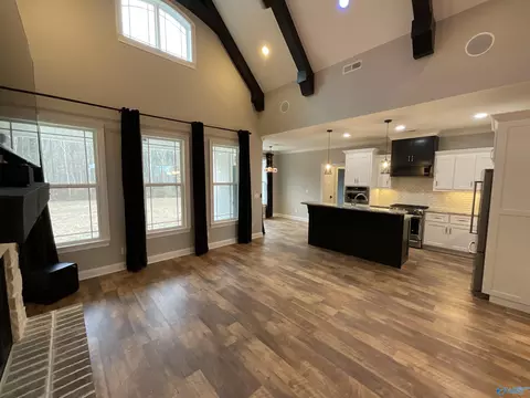 Living - 162 Widgren Dr, Arab, AL 35016 photo 3 of 3