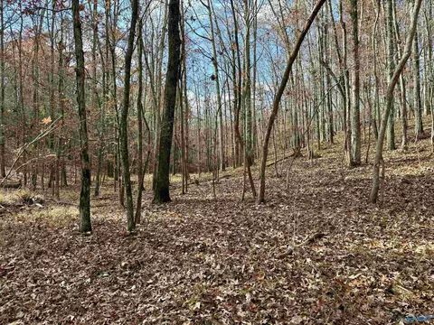1 County Road 137, Cedar Bluff, AL 35959