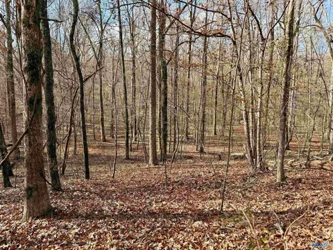 3 County Road 137 #504549, Cedar Bluff, AL 35959