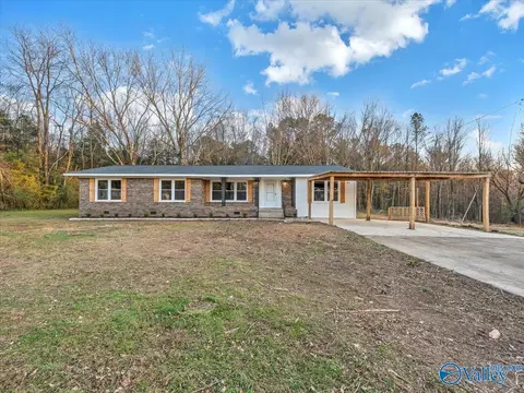 29331 Easter Ferry Rd, Lester, AL 35647 photo 1