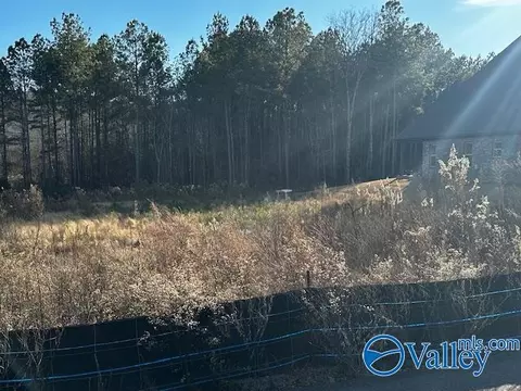 3232 Cherokee Ridge Dr, Cherokee Ridge, AL 35175