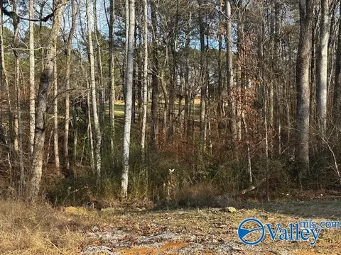 30 Oak Ridge Way, Cherokee Ridge, AL 35175