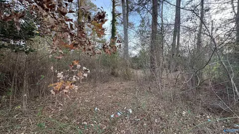3338 Wilson Ave, Rainbow City, AL 35906