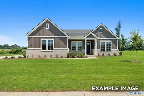 8121 Goose Ridge Dr, Owens Cross Roads, AL 35763