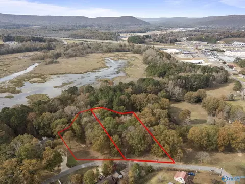 2 99 Ac Riverview Cir, Scottsboro, AL 35769