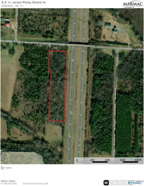 3 66 Acres Piney Grove Rd, Falkville, AL 35622