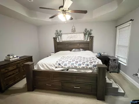 176 Fields Pond Dr, Madison, AL 35756 photo 15