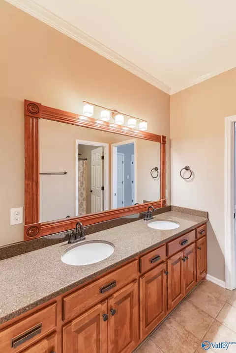 Bath - 87 Forest Home Dr, Trinity, AL 35673 photo 2 of 6
