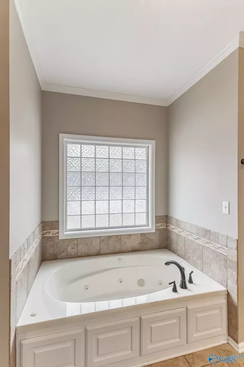 Bath - 87 Forest Home Dr, Trinity, AL 35673 photo 4 of 6