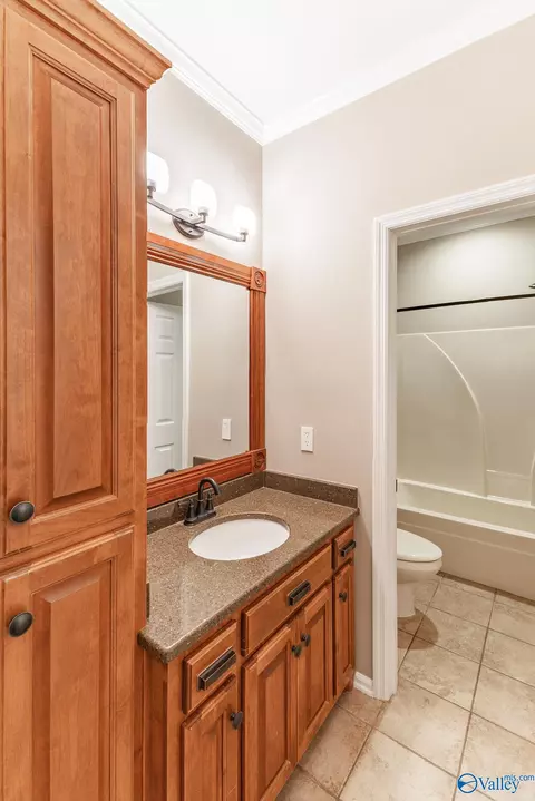 Bath - 87 Forest Home Dr, Trinity, AL 35673 photo 1 of 6