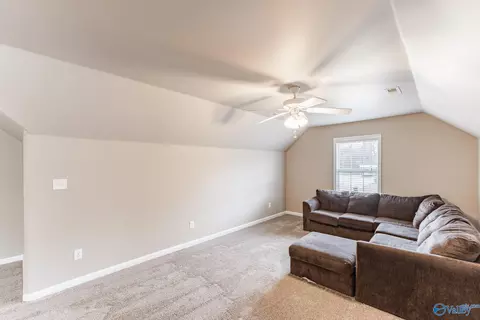 Other - 87 Forest Home Dr, Trinity, AL 35673 photo 6 of 10