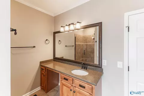 Bath - 87 Forest Home Dr, Trinity, AL 35673 photo 3 of 6