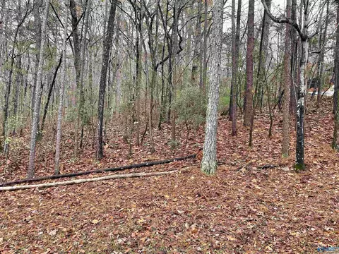 lot5 Greenbriar Rd, Gadsden, AL 35901