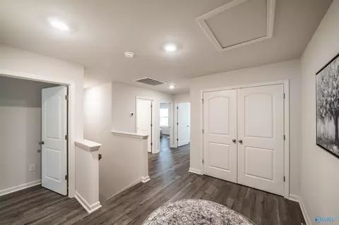 152 Maple Spring Trl, Madison, AL 35758 photo 19