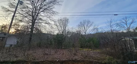 37 Lot Park Rd, Fort Payne, AL 35967