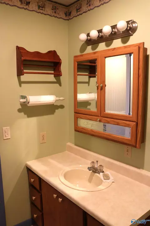 Bath - 74 3rd Ave, Grant, AL 35747 photo 2 of 4