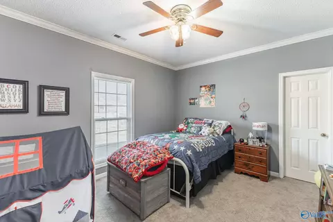 Bedroom - 173 Forest Home Dr, Trinity, AL 35673 photo 3 of 4