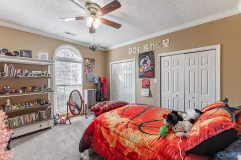 Bedroom - 173 Forest Home Dr, Trinity, AL 35673 photo 4 of 4