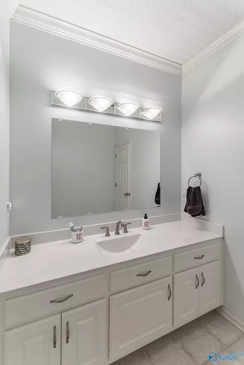 Bath - 173 Forest Home Dr, Trinity, AL 35673 photo 2 of 3