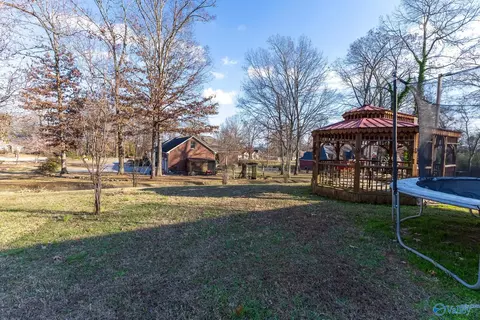 Exterior - 173 Forest Home Dr, Trinity, AL 35673 photo 13 of 14