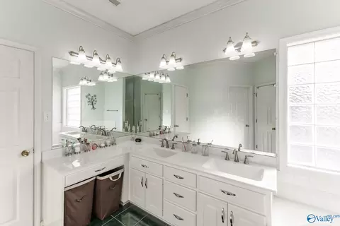 Bath - 173 Forest Home Dr, Trinity, AL 35673 photo 1 of 3