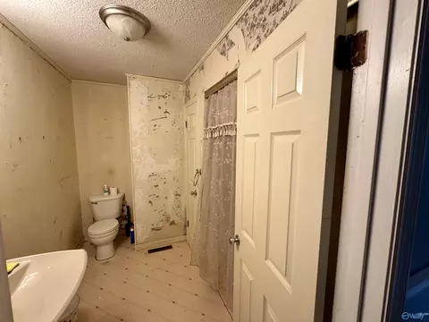 Bath - 166 Third Ave, Grant, AL 35747 photo 2 of 4