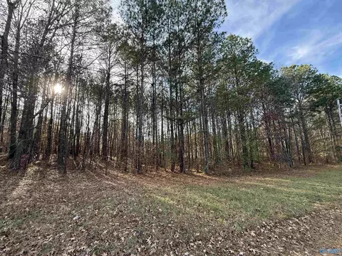 lot20 Sweetwater Ln, Rainbow City, AL 35906
