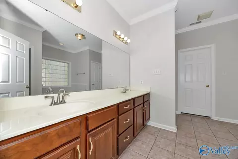Bath - 411 N Seneca Dr, Trinity, AL 35673 photo 1 of 6