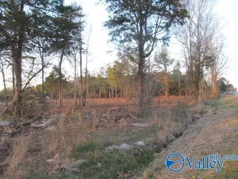 11 Hogs Ln, Albertville, AL 35951