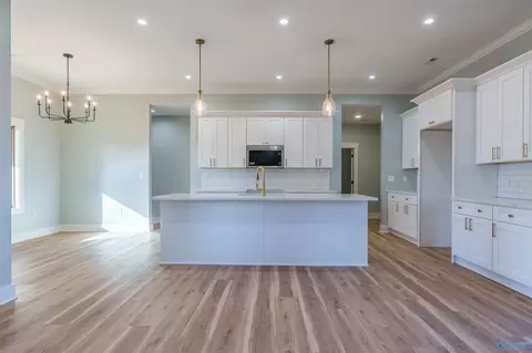 Other - 687 Oakview Cir, Killen, AL 35645 photo 1 of 8