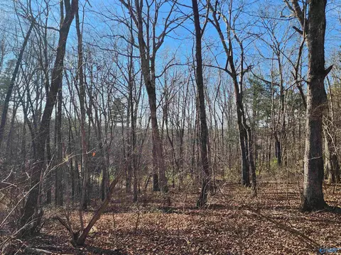 lot35 Road 9050, Mentone, AL 35984