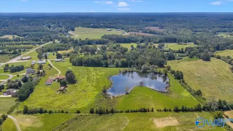 Other - 7735 County Road 170, Trinity, AL 35673 photo 11 of 15