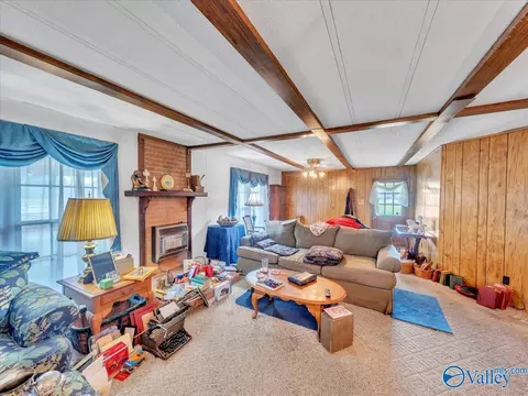 Living - 7735 County Road 170, Trinity, AL 35673 photo 2 of 3