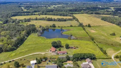 Other - 7735 County Road 170, Trinity, AL 35673 photo 10 of 15