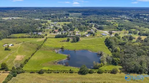 View/Area - 7735 County Road 170, Trinity, AL 35673 photo 4 of 6