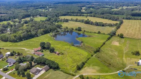 View/Area - 7735 County Road 170, Trinity, AL 35673 photo 3 of 6