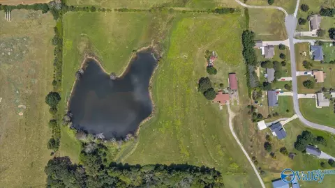 View/Area - 7735 County Road 170, Trinity, AL 35673 photo 5 of 6