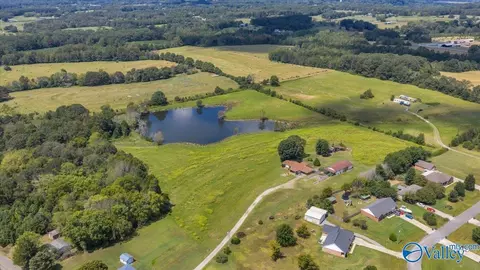 View/Area - 7735 County Road 170, Trinity, AL 35673 photo 2 of 6