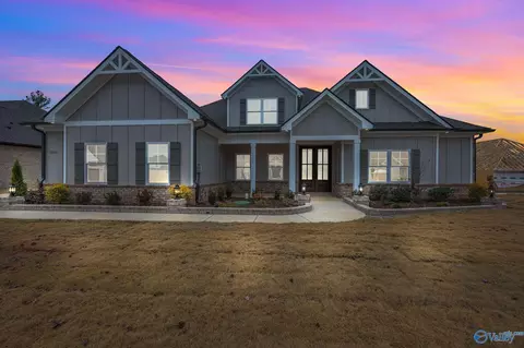 Exterior - 256 Landers Rd, Madison, AL 35758 photo 6 of 6