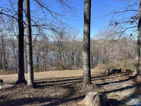 1 12 Acres Savory Dr, Scottsboro, AL 35769