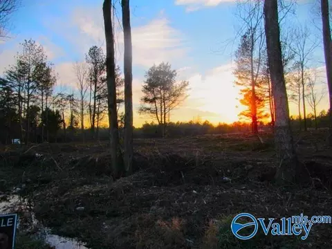 14 Hogs Ln, Albertville, AL 35951