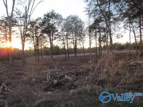 9 Hogs Ln, Albertville, AL 35951